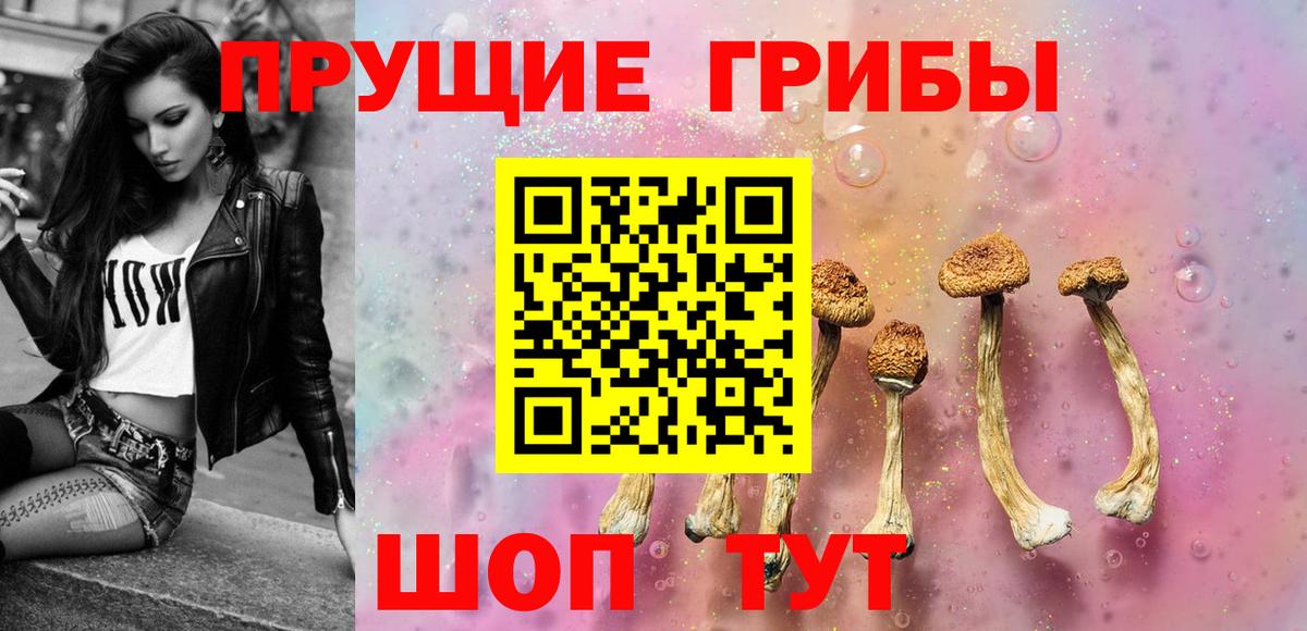 Шали  Галлюциногенные грибы Psilocybe  Галлюциногенные грибы GOLDEN TEACHER  где продают наркотики  Вход с VPN 