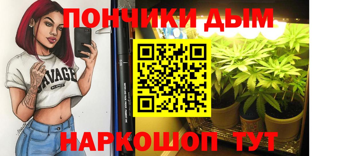 Шали  Бошки марихуана Bruce Banner  Канабис план  Вход с VPN  Каннабис SATIVA & INDICA 